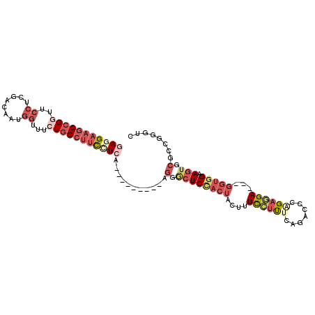 secondary structure
