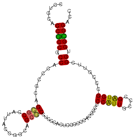 secondary structure