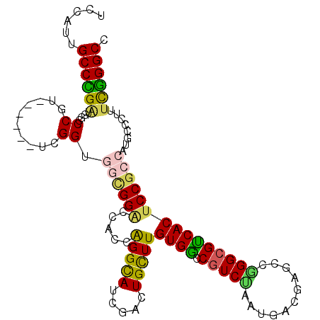 secondary structure