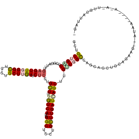secondary structure