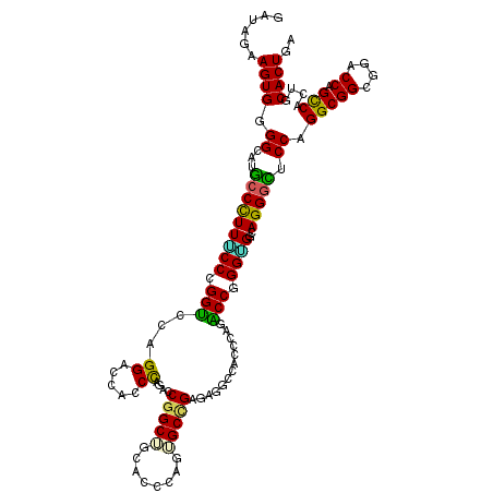 secondary structure