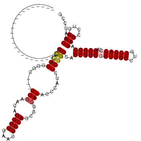 secondary structure