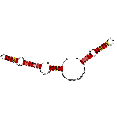 secondary structure