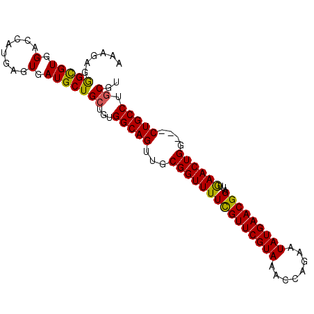 secondary structure