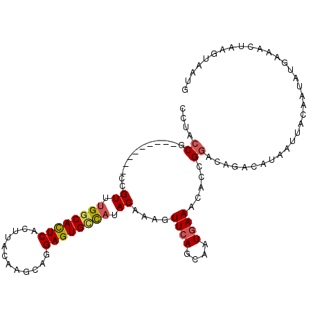 secondary structure