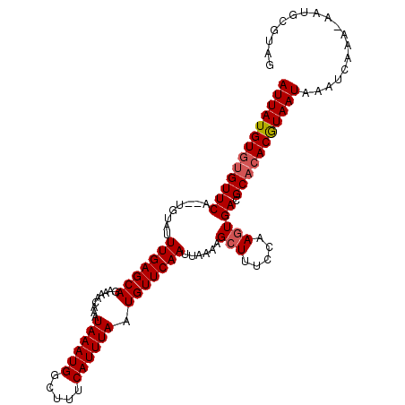 secondary structure