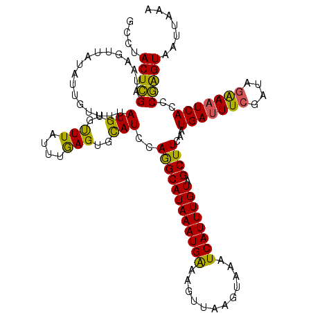 secondary structure