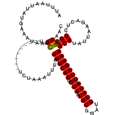 secondary structure