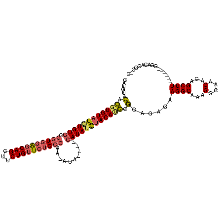 secondary structure