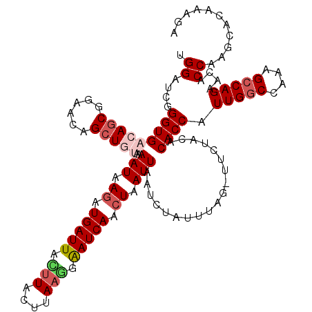 secondary structure