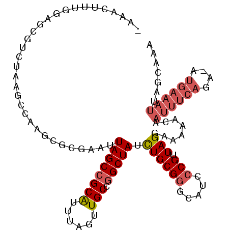 secondary structure