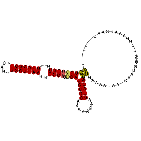secondary structure