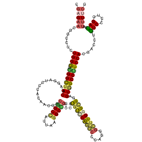 secondary structure