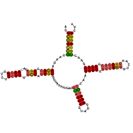 secondary structure