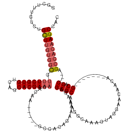 secondary structure