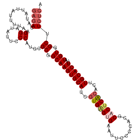 secondary structure