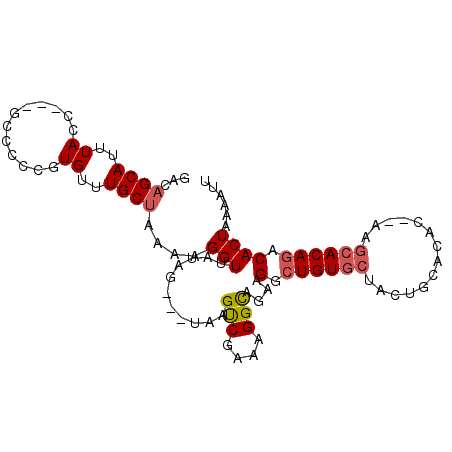 secondary structure