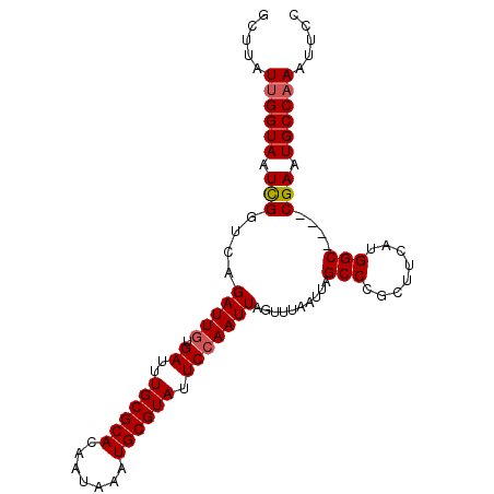 secondary structure