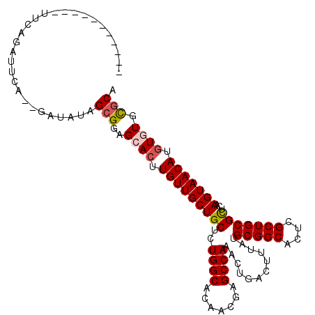 secondary structure