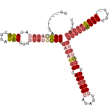 secondary structure