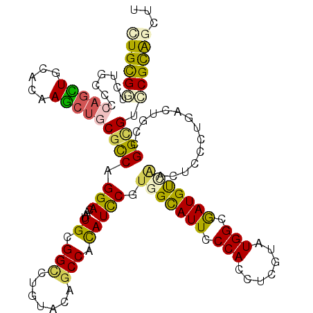 secondary structure