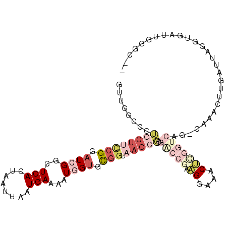 secondary structure