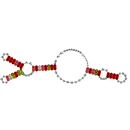 secondary structure