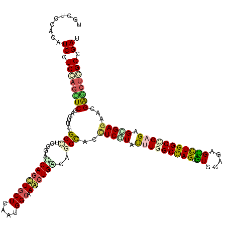 secondary structure