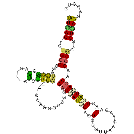 secondary structure