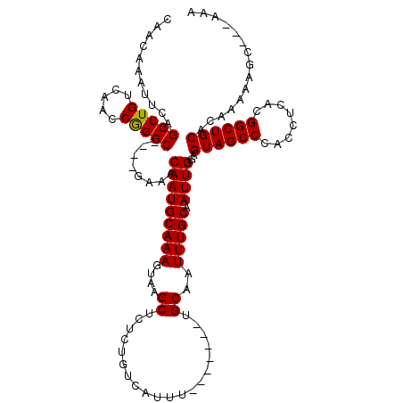 secondary structure