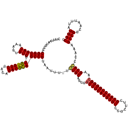 secondary structure