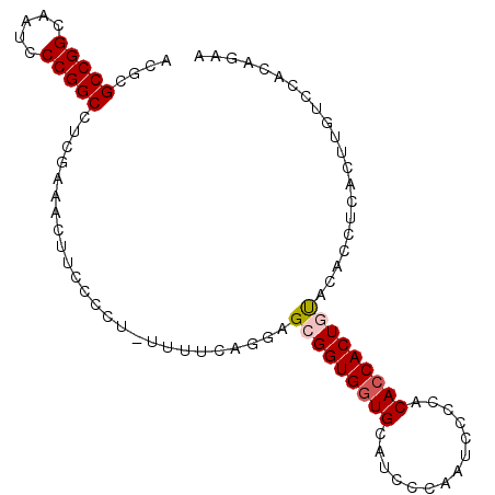 secondary structure