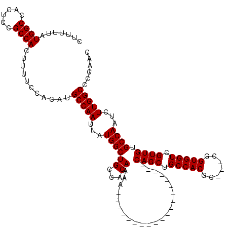 secondary structure