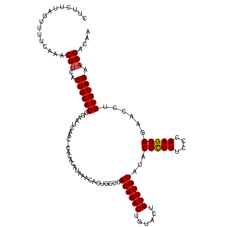secondary structure