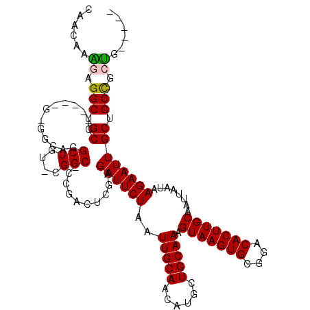 secondary structure