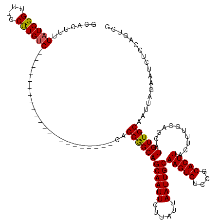 secondary structure