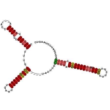 secondary structure
