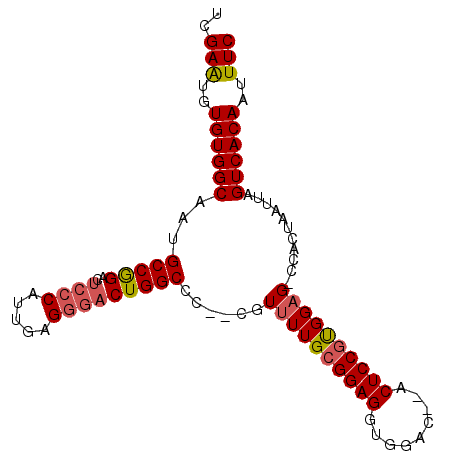 secondary structure