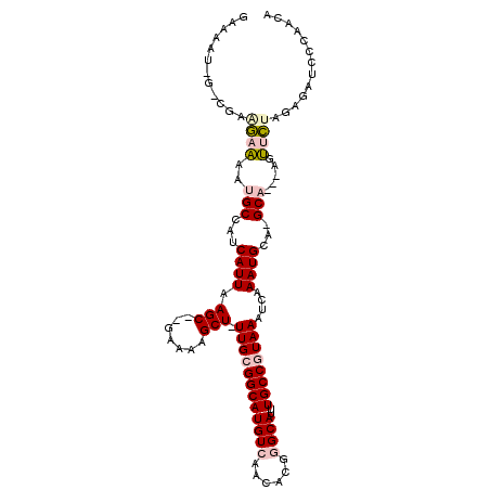 secondary structure