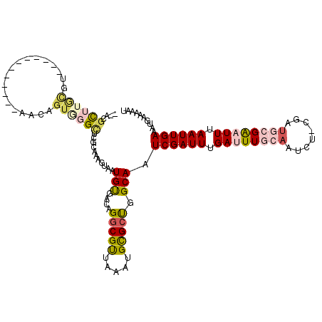 secondary structure