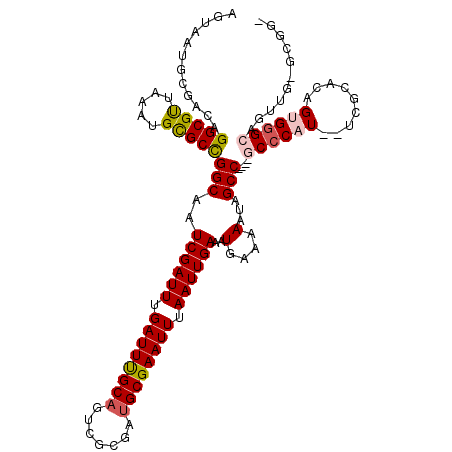 secondary structure