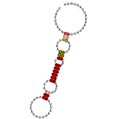 secondary structure