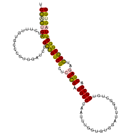 secondary structure