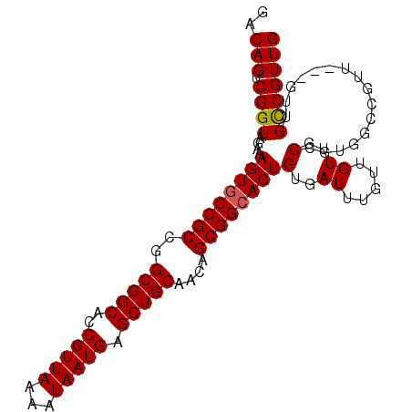 secondary structure