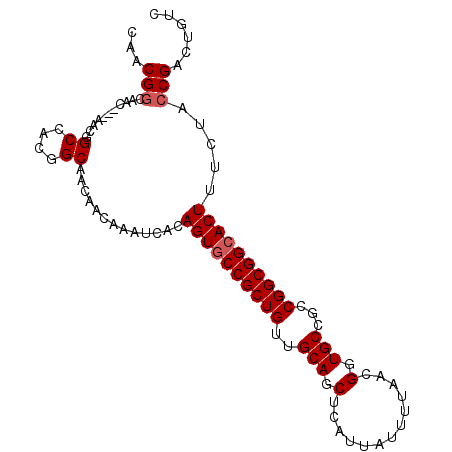 secondary structure