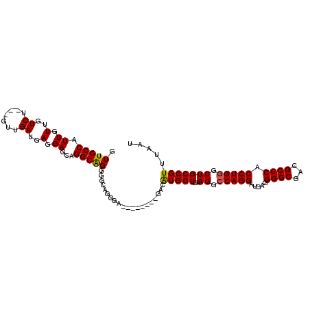 secondary structure