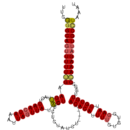 secondary structure
