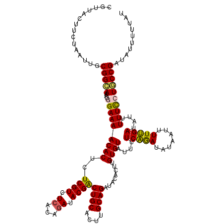secondary structure