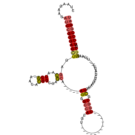 secondary structure