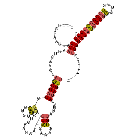 secondary structure